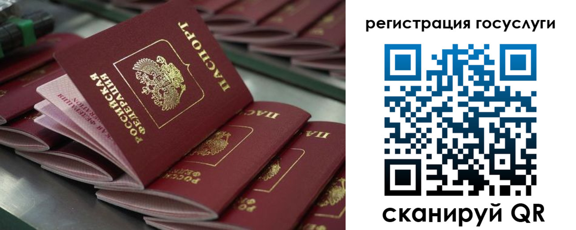 прописка 2025 в Зверево